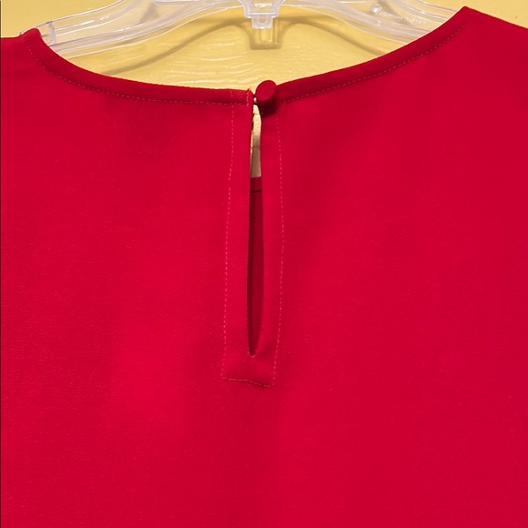 Red Ruffle Hem Mini Dress - Picture 4 of 5